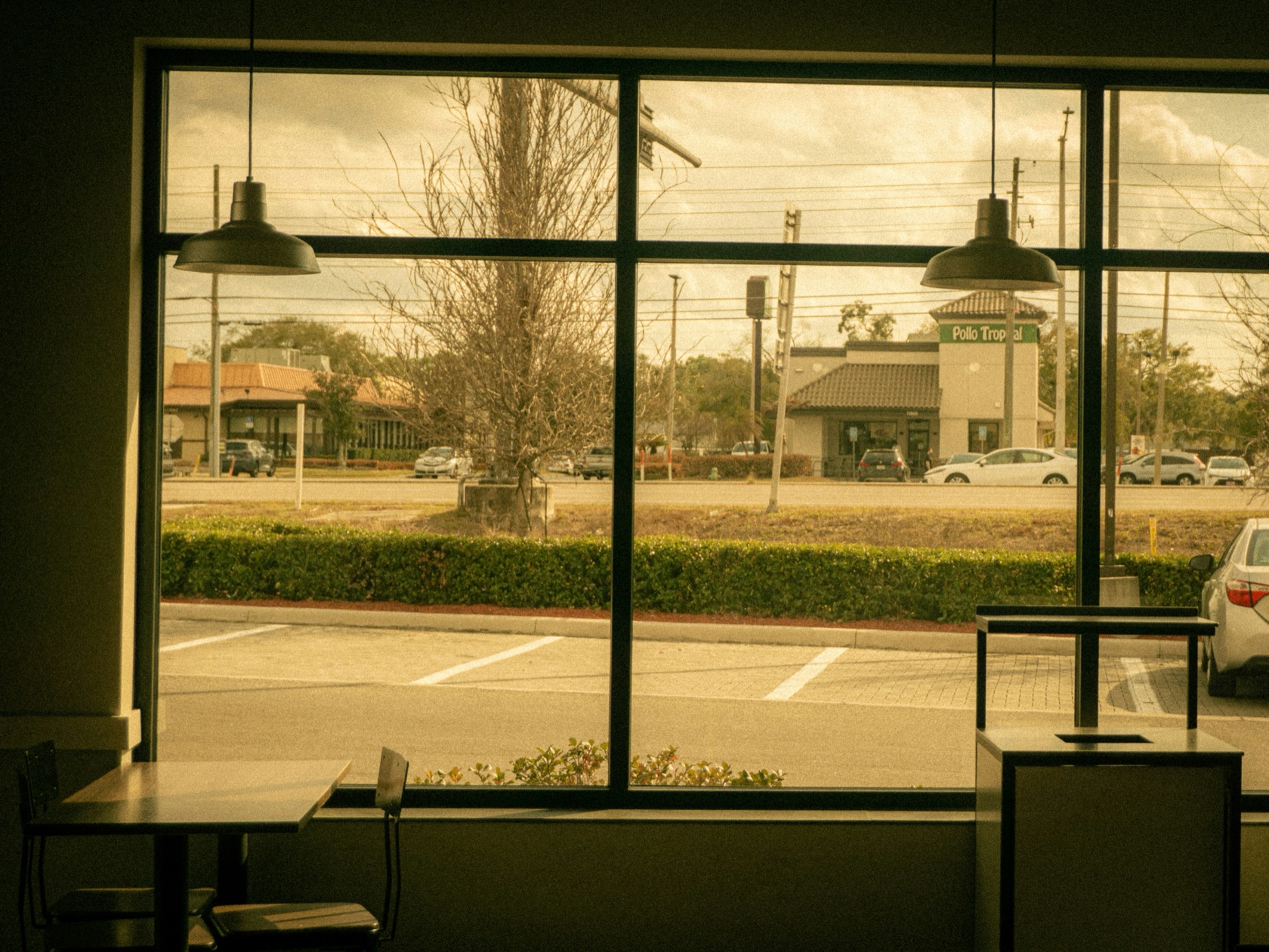 Commercial window film for offices and storefronts